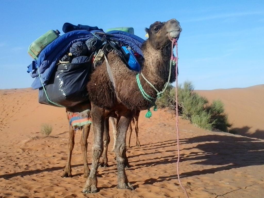 Bivouac Erg Znaigui Hotel Merzouga Exterior foto