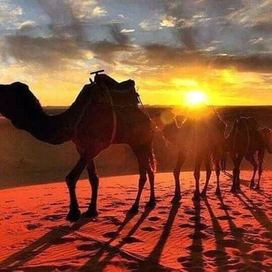 Bivouac Erg Znaigui Hotel Merzouga Exterior foto